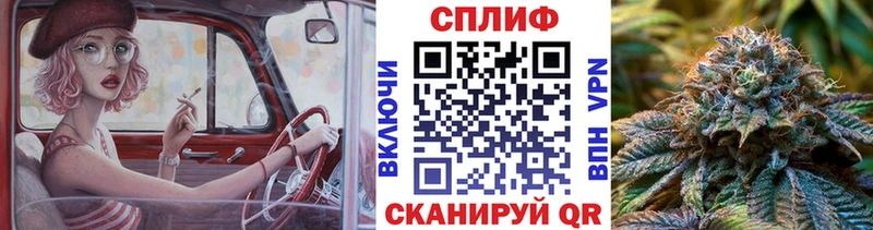 Конопля OG Kush Новосокольники
